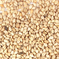 Organic sesame seed