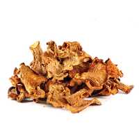 Dried Mushroom