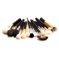 Blush Brushes