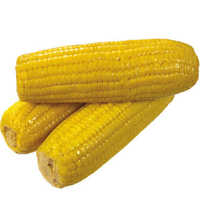 Yellow Corn