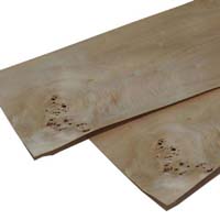 Poplar veneer