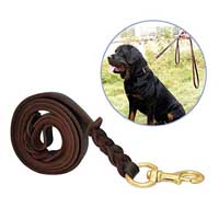 Dog training leads