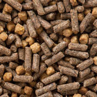 Horse Feed Additives