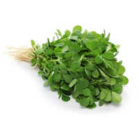 Fenugreek Leaf