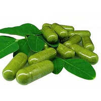 Moringa oleifera