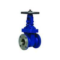 Iron Valves