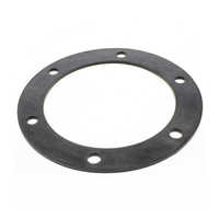 Boiler gasket