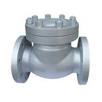 Lift Check Valves