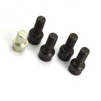 Wheel screw