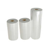 Masking Film