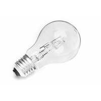 Halogen Bulbs