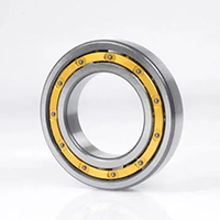 Annular bearings