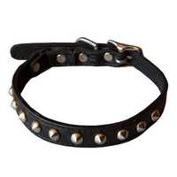 Cat collars