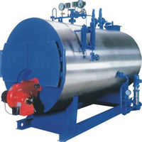 Biomass steam boilers