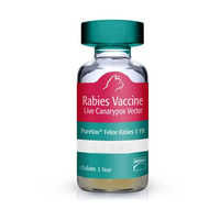 Rabies Vaccine