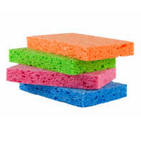 Kitchen Sponge