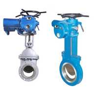 Motorized gate valve