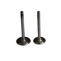 Three wheeler engine valve