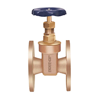 Leader valves