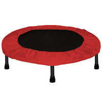 Mini Trampoline