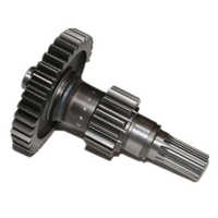 Spur gear shaft