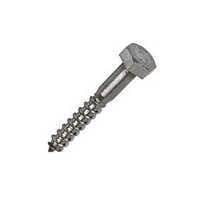 Coach screw