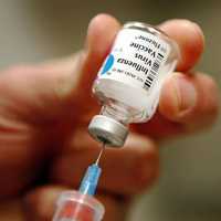 Influenza Vaccine