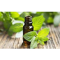 Organic peppermint