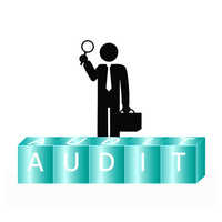 Audit Consultancy Services