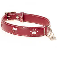 Dog collars