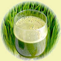 Wheatgrass juice