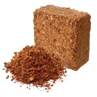 Coco Chips