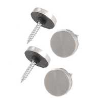 Mirror cap screw