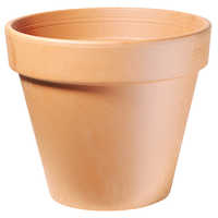 Outdoor terracotta pot
