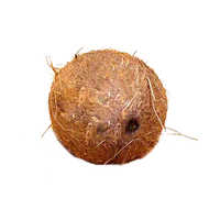 One eye coconut