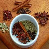Spice testing services