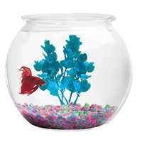 Plastic fish bowl
