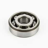 Cam clutch bearing