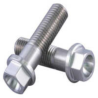 Flange bolts
