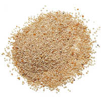 Raw white poppy seeds