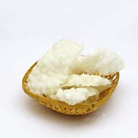 Sabudana papad