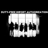 Duty free import authorisation