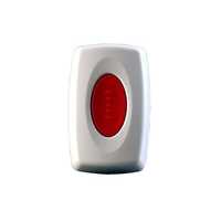 Security panic button