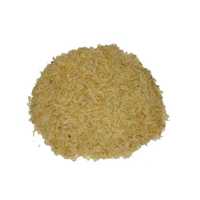 Golden Rice
