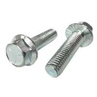 Serrated flange screw