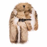 फर चुराया