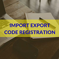 Import export code consultants