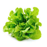 Legumes