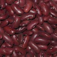 Red kidney beans