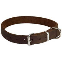 Leather Pet Collar